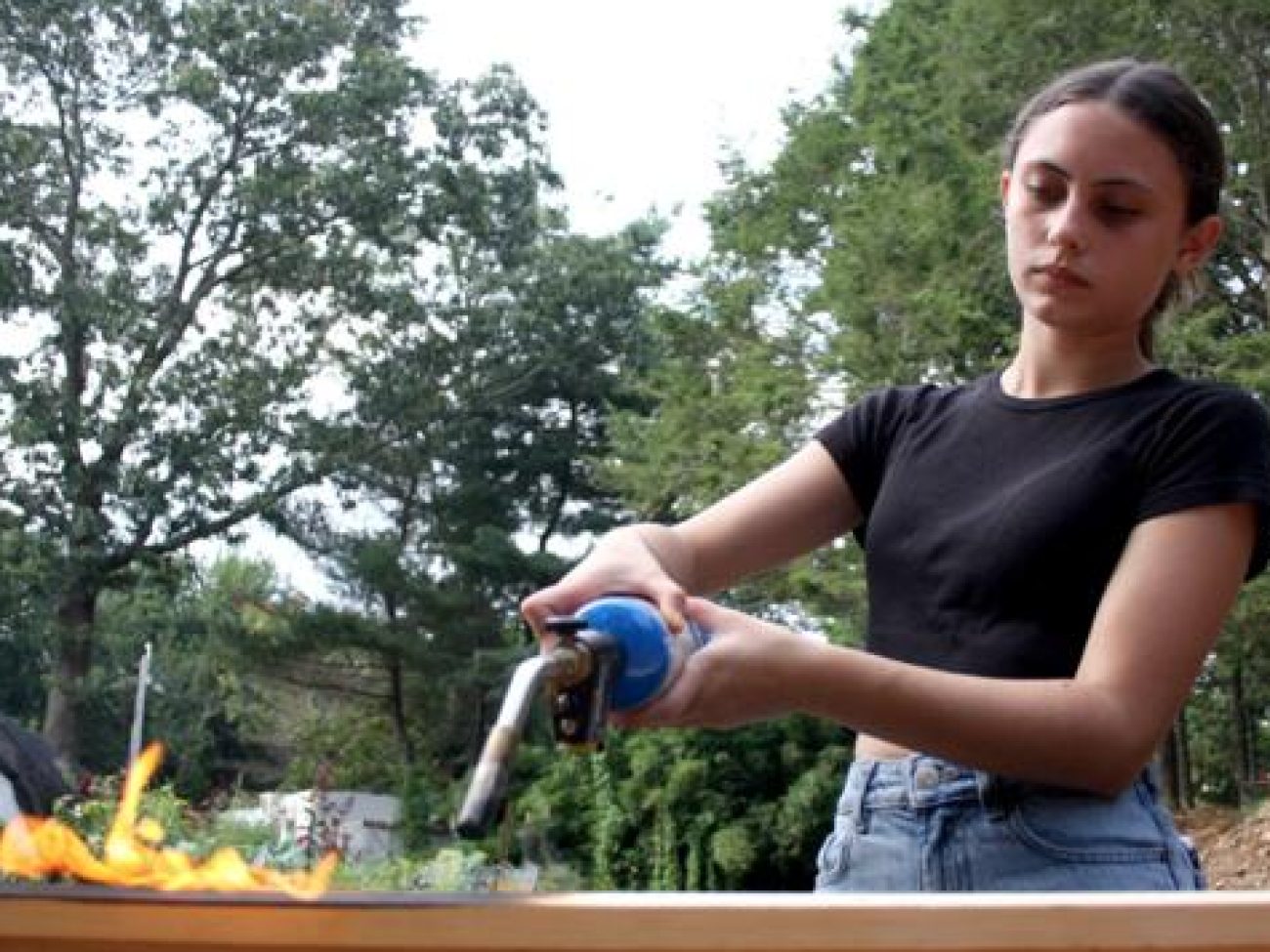 Four raised beds, measuring 3 feet by 12 feet, were installed over a recent weekend and will support native plants for local residents