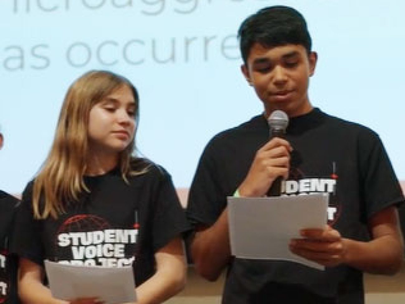 Student Voice Summit -See Me Festival