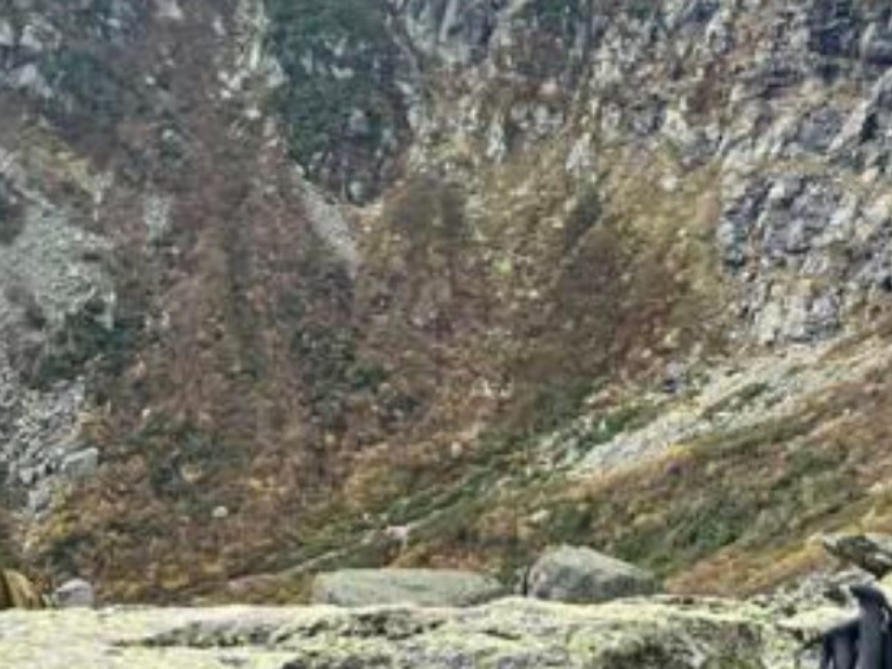 Salem High School sophomore Will Cullimore