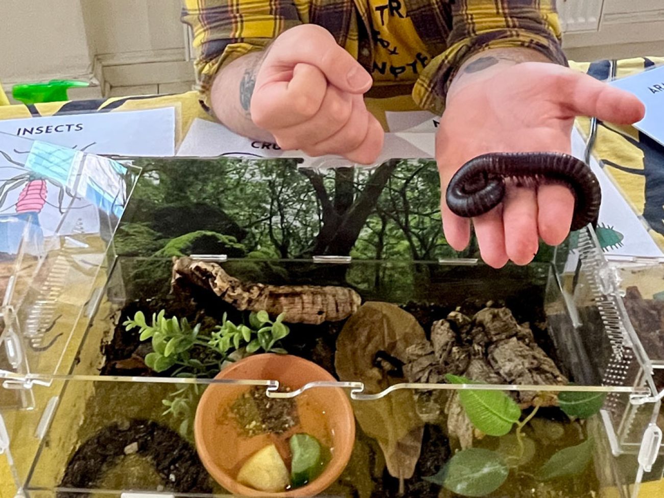 Salem Public Schools Grade 2 Habitat Fair