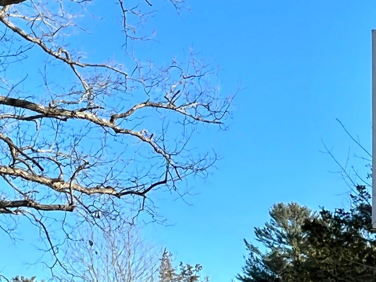 SHS CTE Habitat for Humanity Partnership