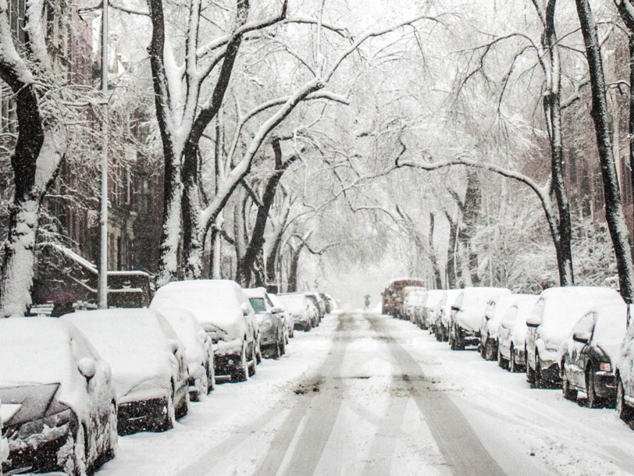 extreme cold weather advisory