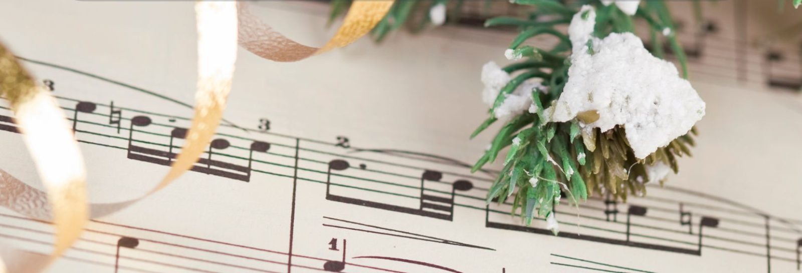 Salem High School 2025 Winter Concert