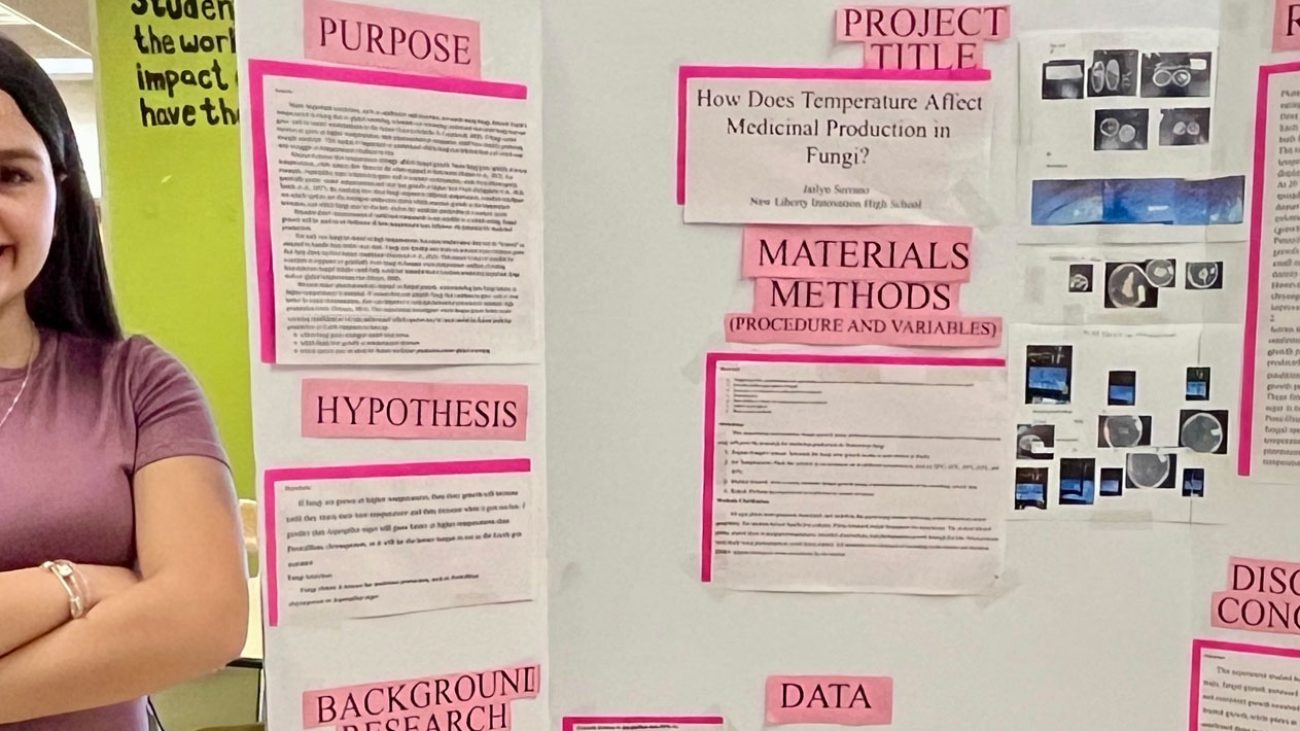 Jailyn Serrano Massachusetts Science and Engineering Fair