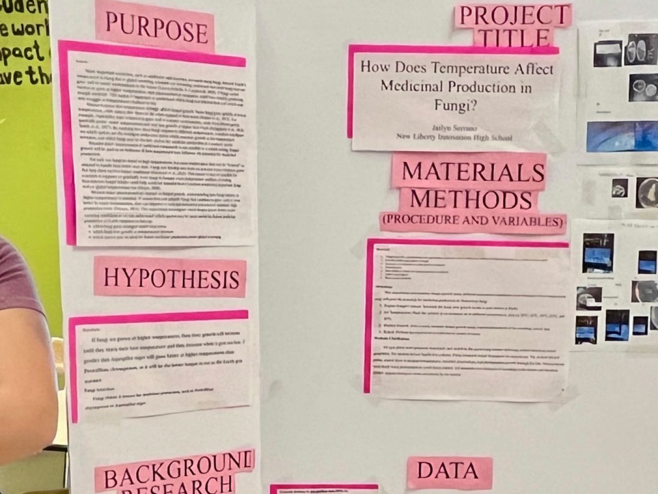Jailyn Serrano Massachusetts Science and Engineering Fair