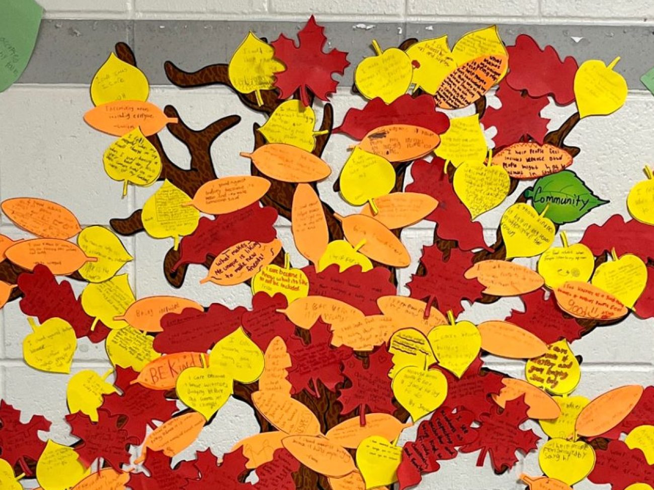 Collins Middle School Unity Dance Anti-Bullying Tree
