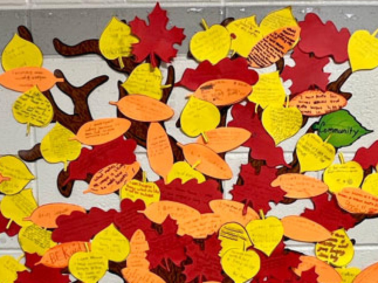 Collins Middle School Unity Dance Anti-Bullying Tree
